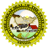 image for site